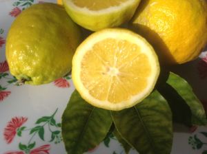 Lemons Close up